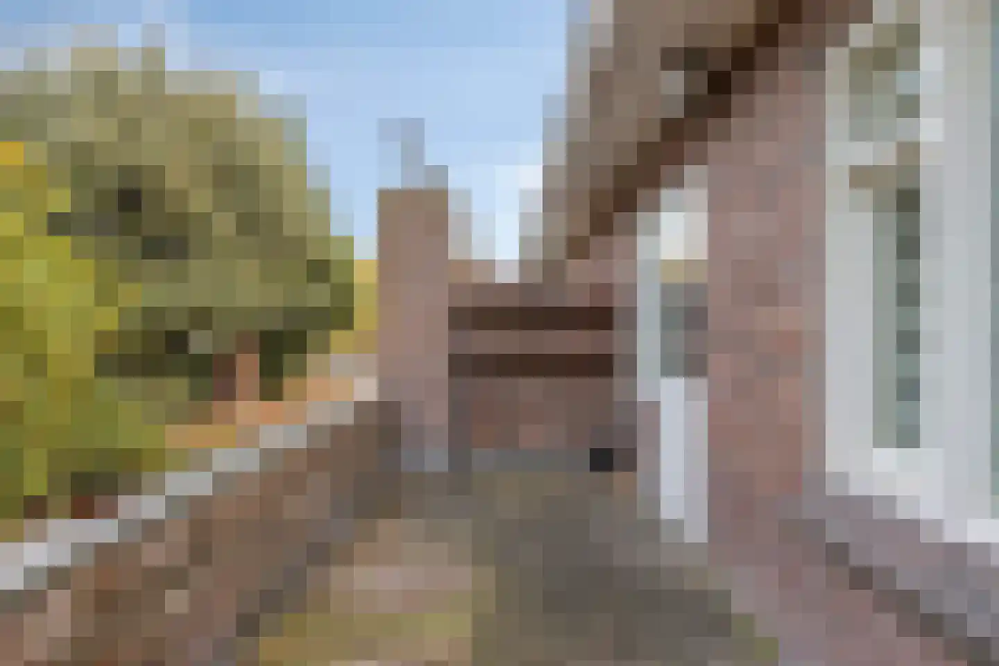 Tongelresestraat 155 Eindhoven thumbnail 18