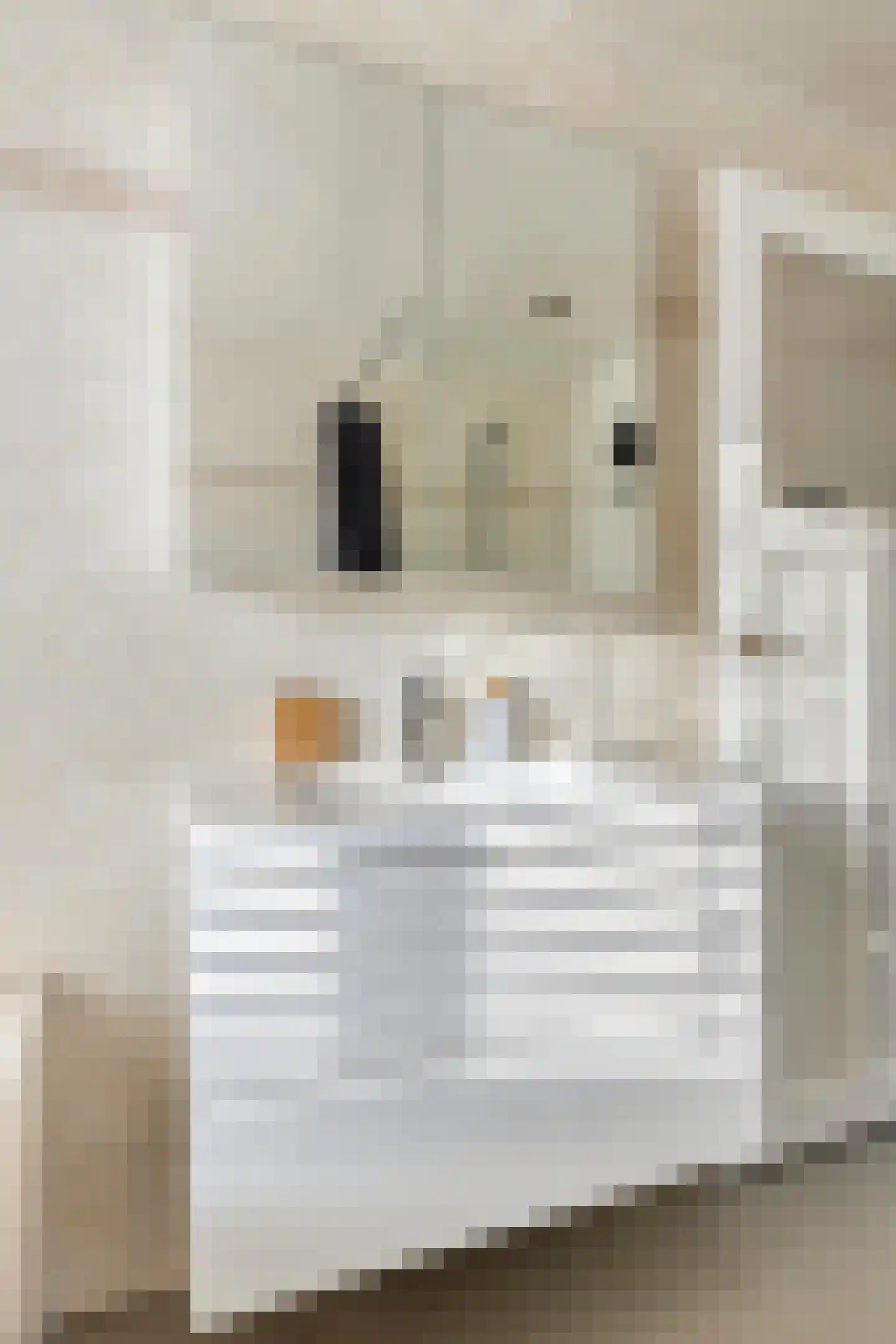 Tongelresestraat 155 Eindhoven thumbnail 27