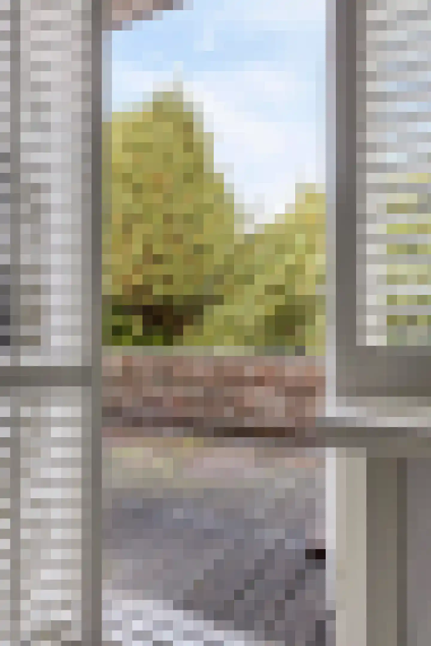 Tongelresestraat 155 Eindhoven thumbnail 28