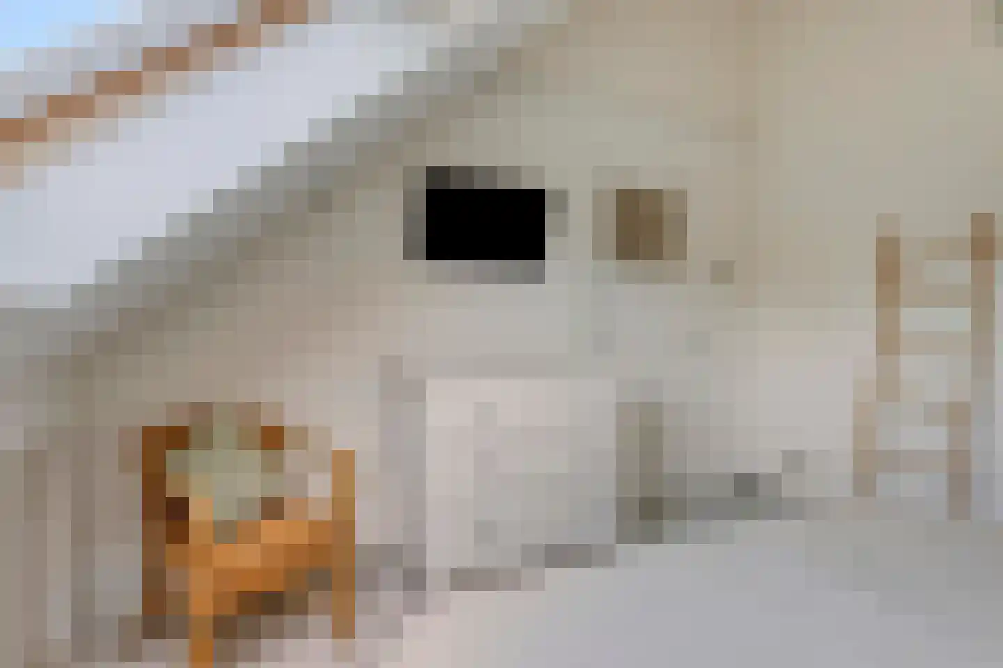 Tongelresestraat 155 Eindhoven thumbnail 31