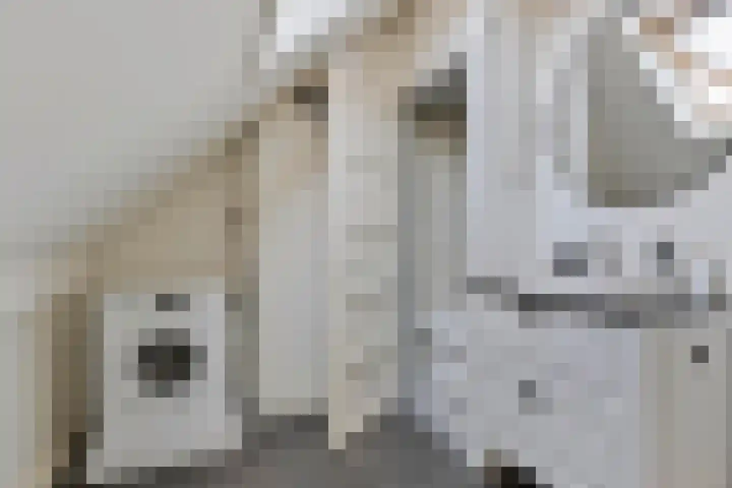 Tongelresestraat 155 Eindhoven thumbnail 32
