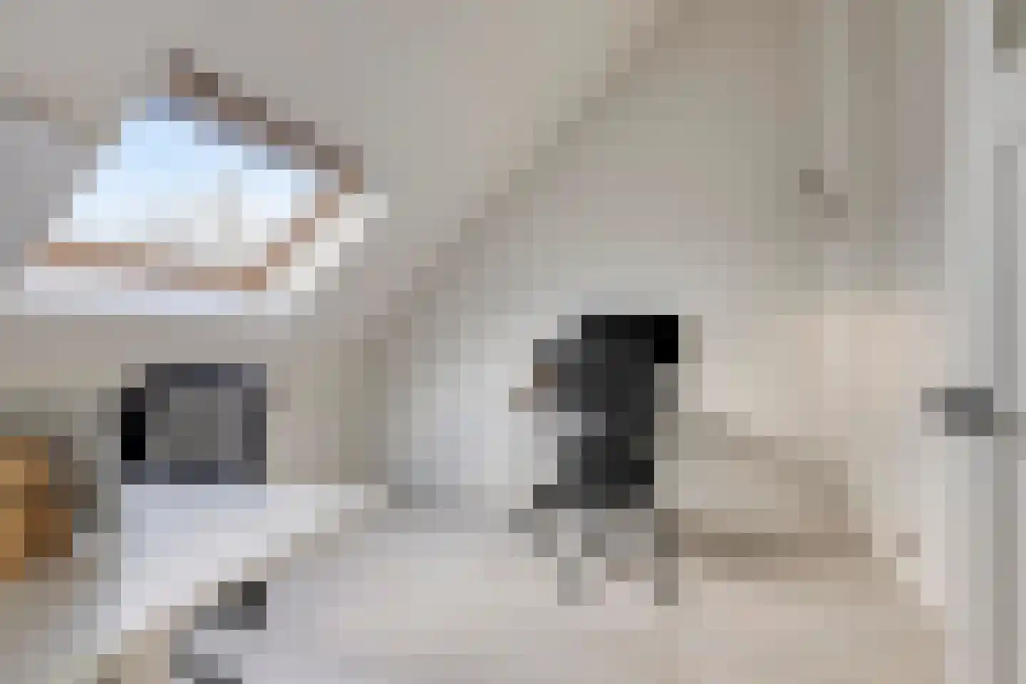 Tongelresestraat 155 Eindhoven thumbnail 34