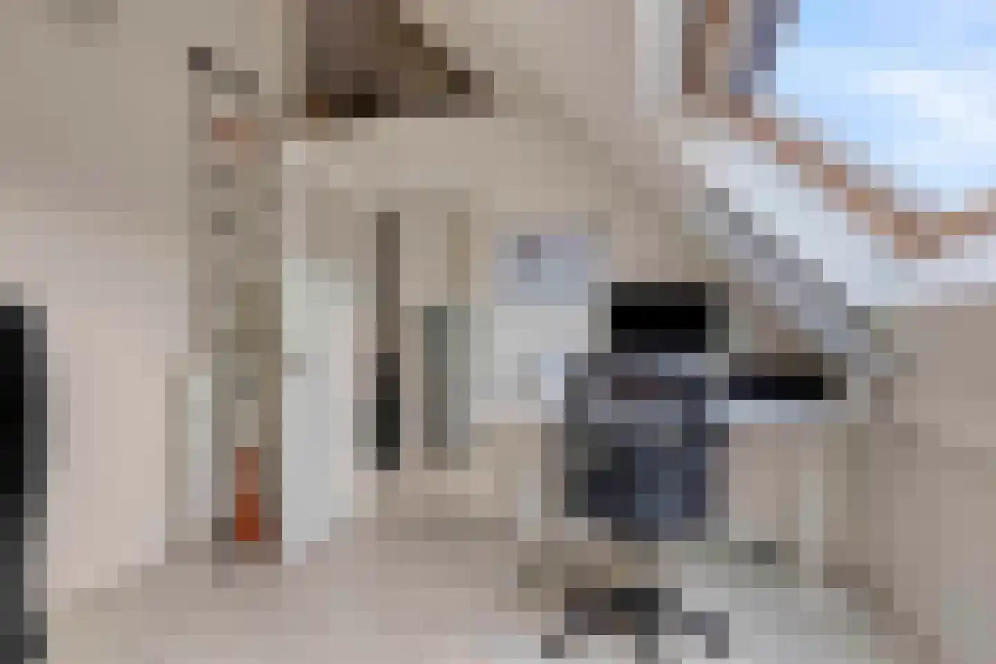 Tongelresestraat 155 Eindhoven thumbnail 35
