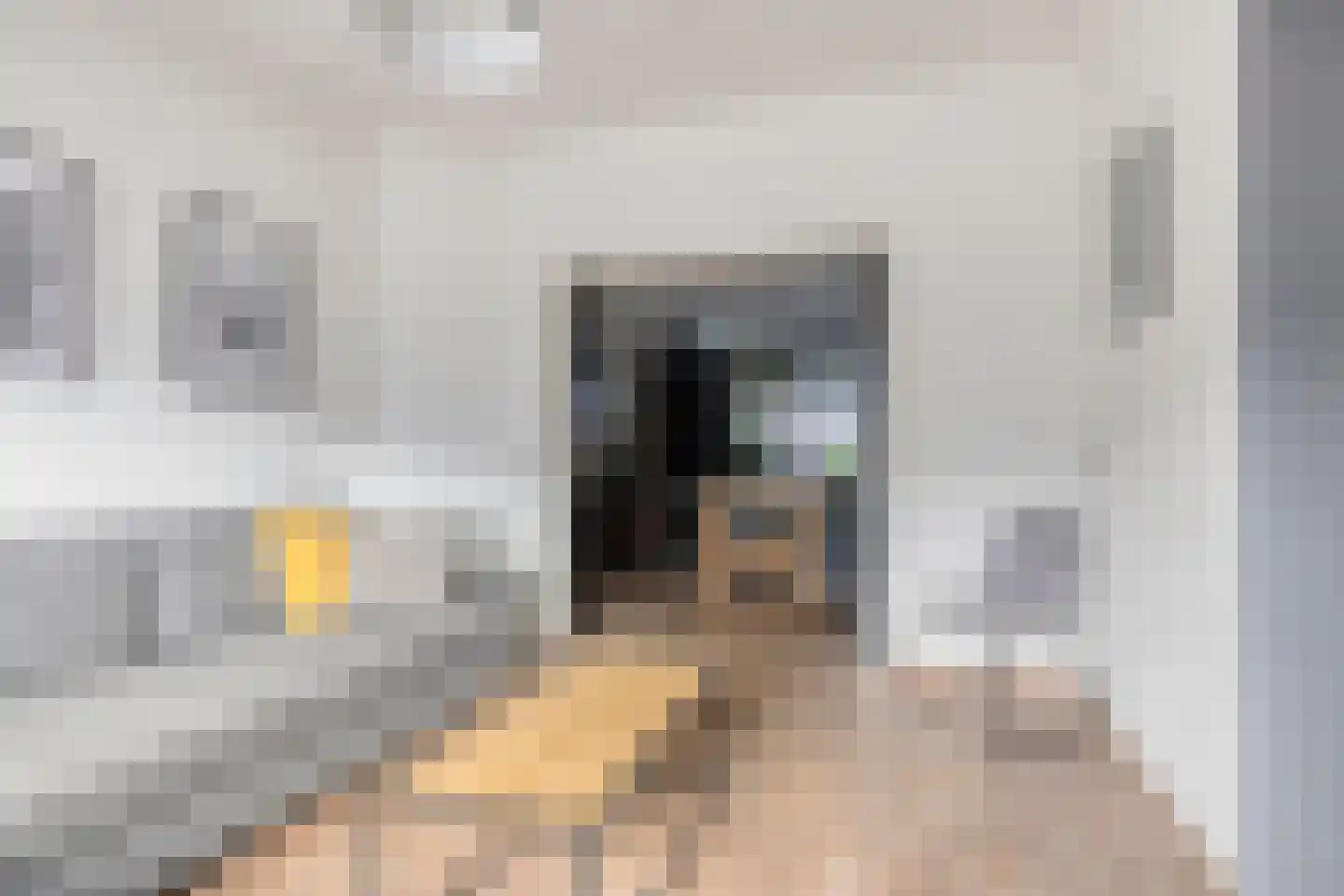 Tongelresestraat 155 Eindhoven thumbnail 6
