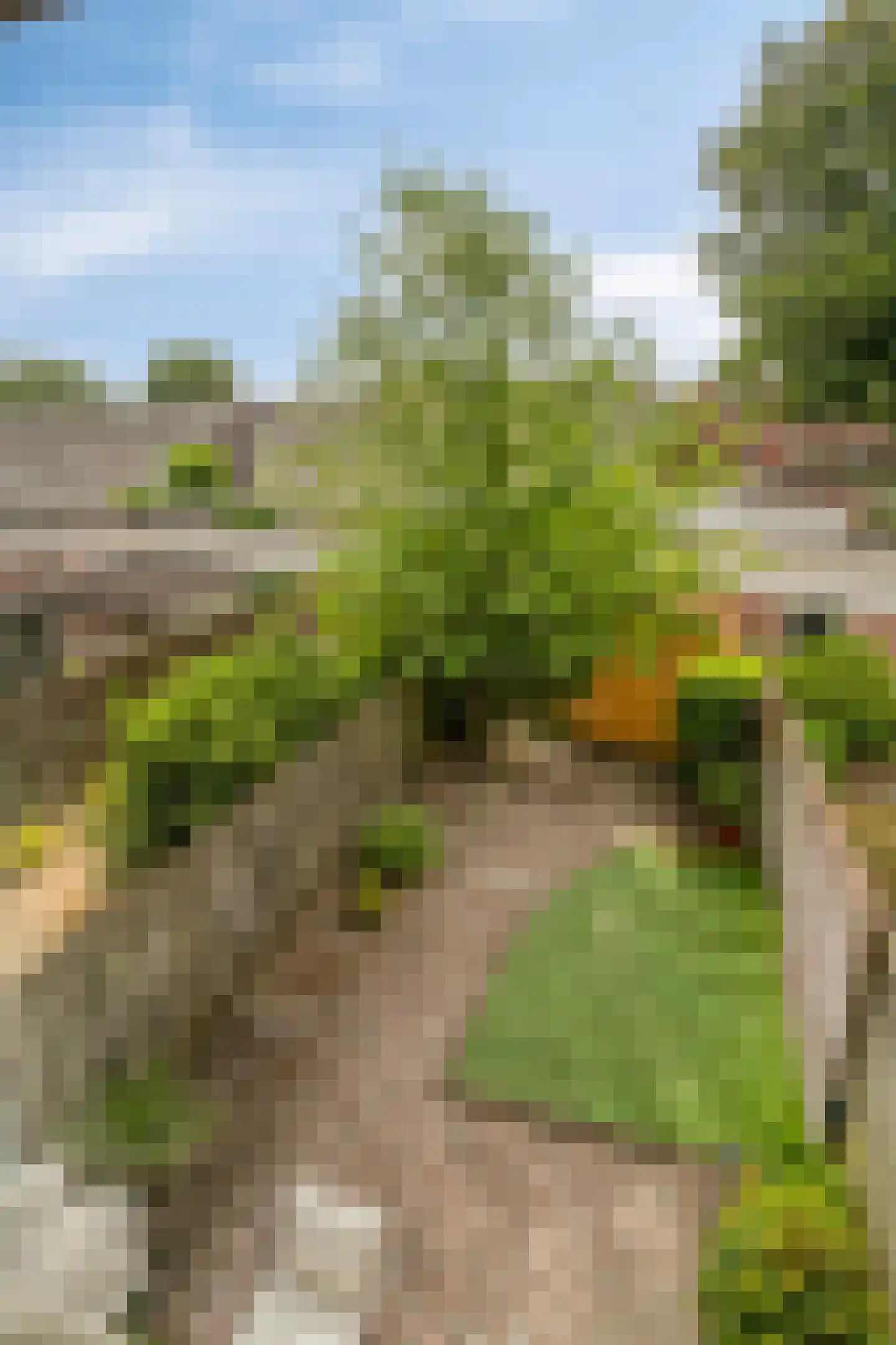 Tongelresestraat 170 A Eindhoven thumbnail 34
