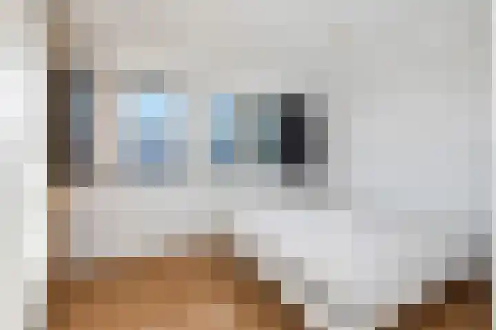 Tongelresestraat 180 Eindhoven thumbnail 30