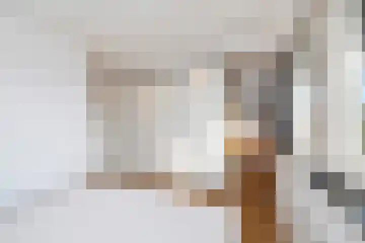 Tongelresestraat 180 Eindhoven thumbnail 32