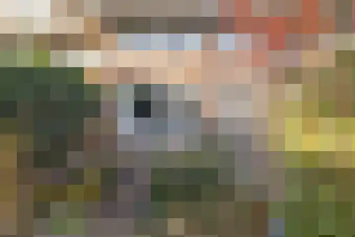 Tongelresestraat 180 Eindhoven thumbnail 34