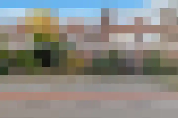 Tongelresestraat 180 Eindhoven thumbnail 8