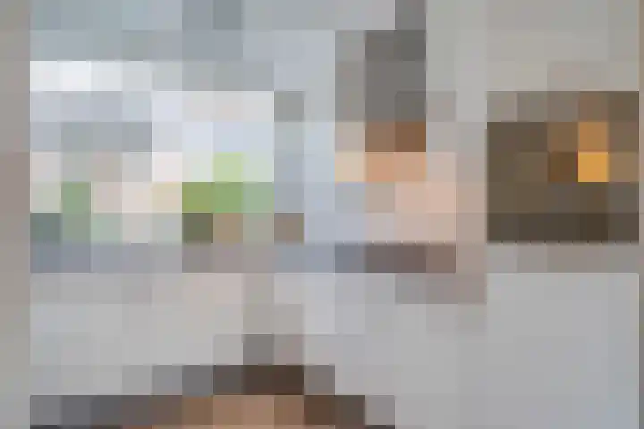 Tongelresestraat 184 A Eindhoven thumbnail 14