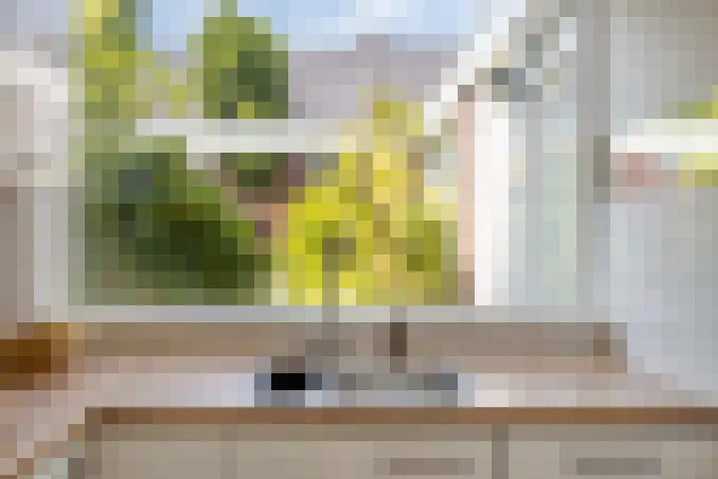 Tongelresestraat 186 Eindhoven thumbnail 12