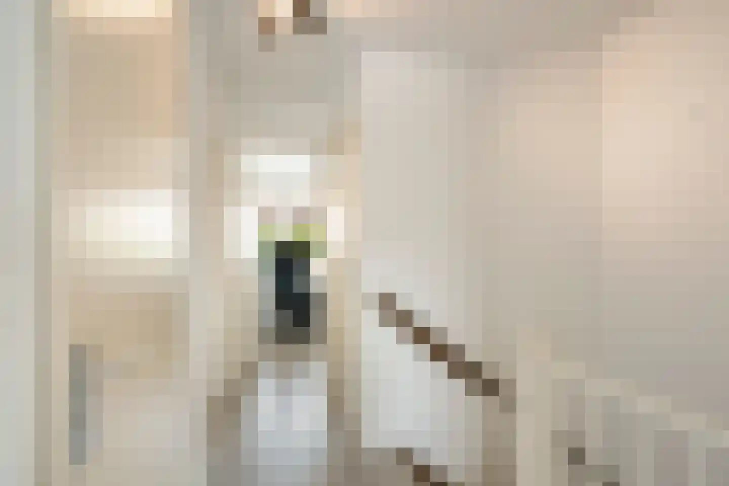 Tongelresestraat 186 Eindhoven thumbnail 17