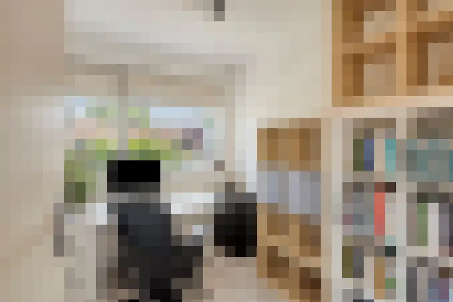 Tongelresestraat 186 Eindhoven thumbnail 25