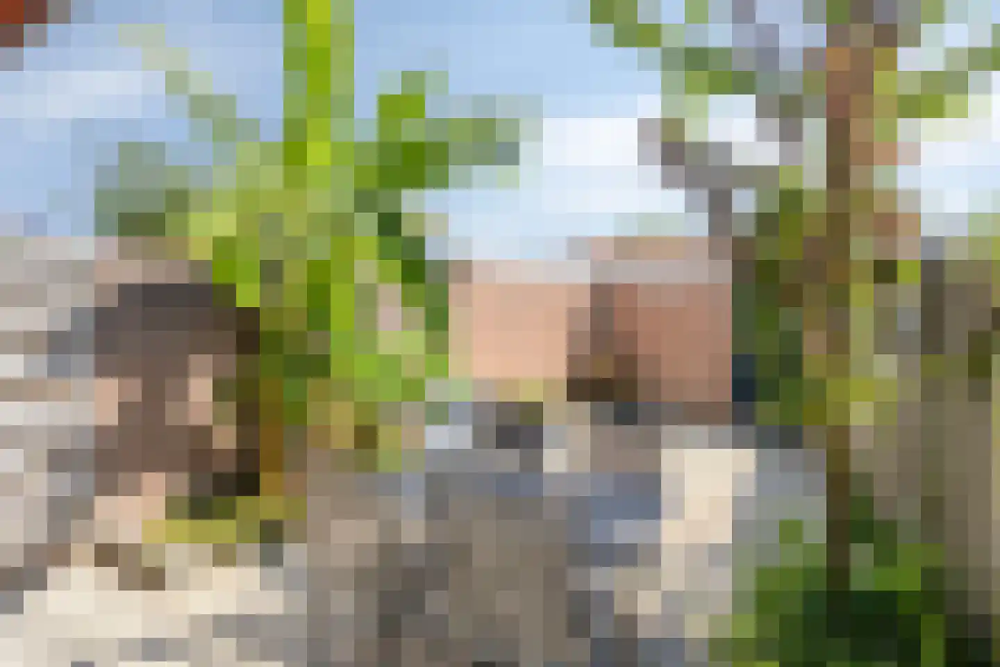Tongelresestraat 186 Eindhoven thumbnail 26
