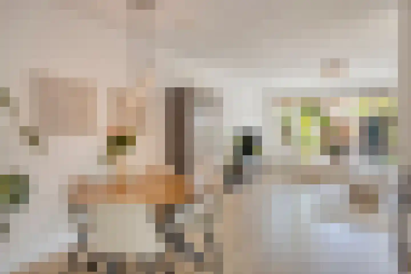 Tongelresestraat 186 Eindhoven thumbnail 6