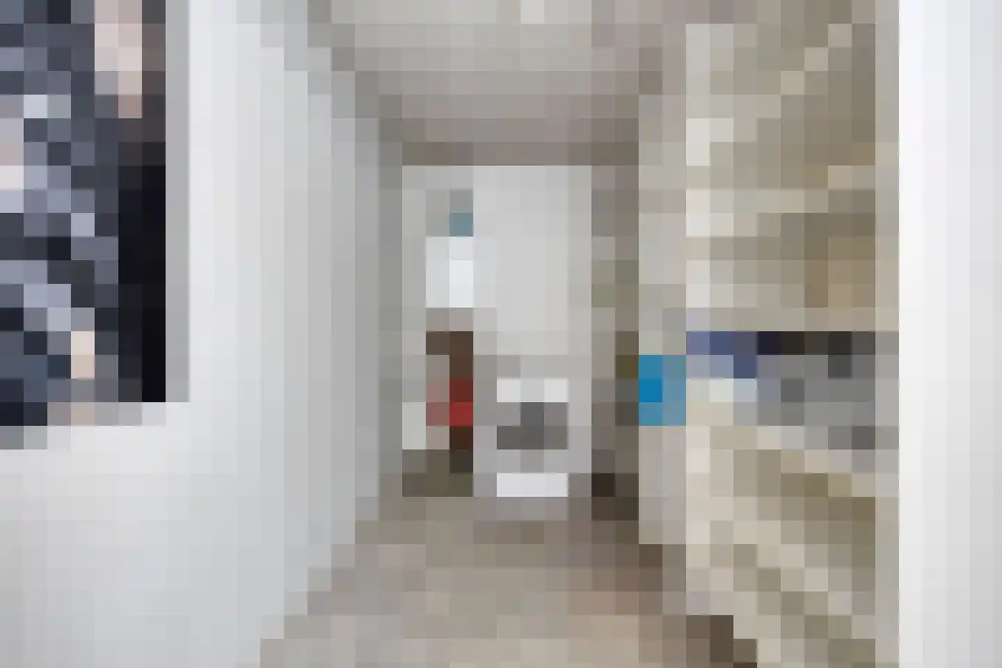 Tongelresestraat 188 A Eindhoven thumbnail 12