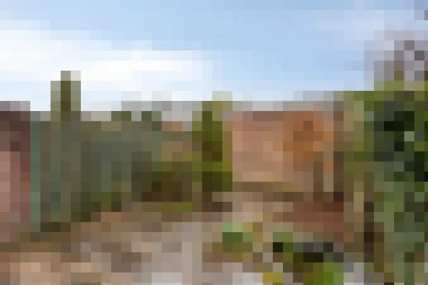 Tongelresestraat 188 A Eindhoven thumbnail 23