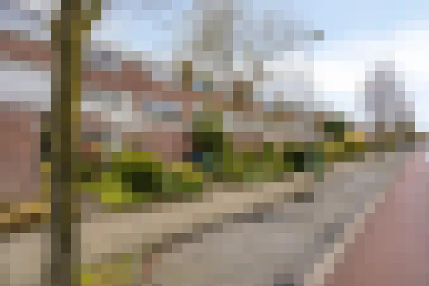 Tongelresestraat 188 A Eindhoven thumbnail 26