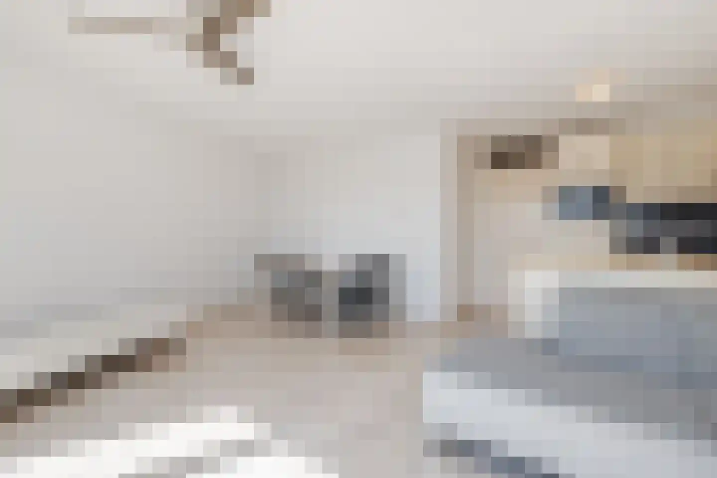 Tongelresestraat 2 C Eindhoven thumbnail 18