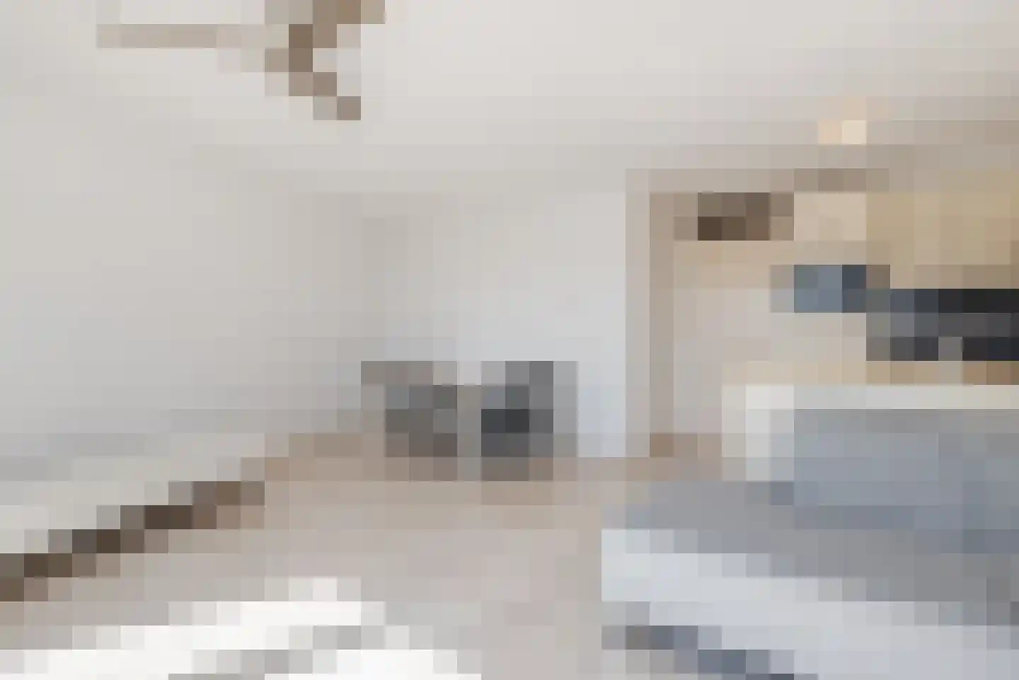 Tongelresestraat 2 C Eindhoven thumbnail 18