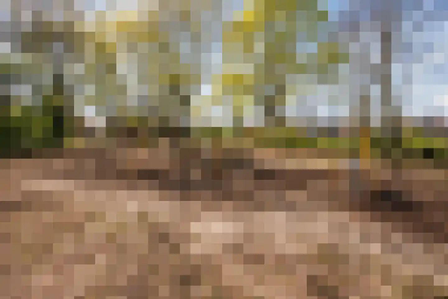 Tongelresestraat 2 C Eindhoven thumbnail 30
