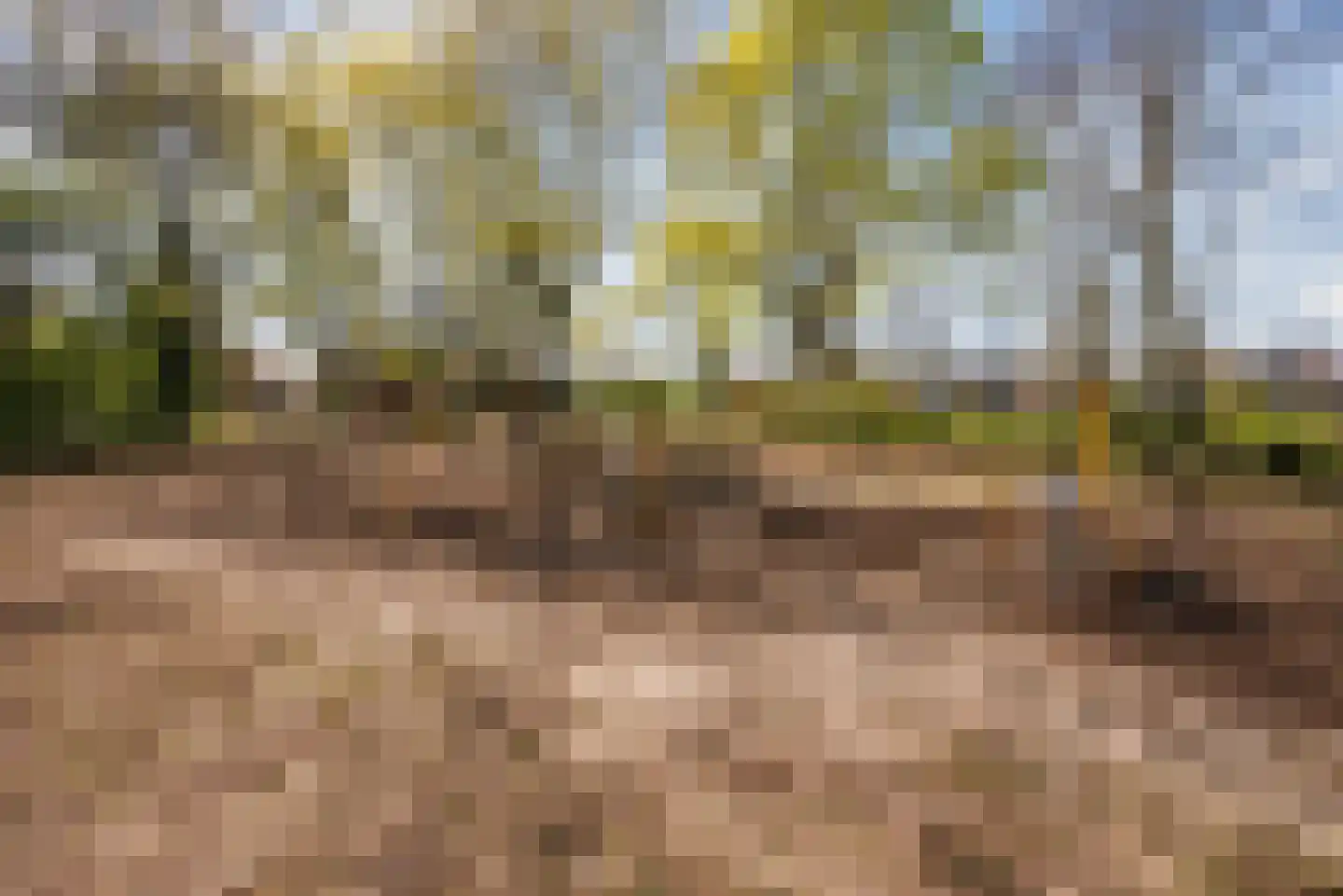 Tongelresestraat 2 D Eindhoven thumbnail 30