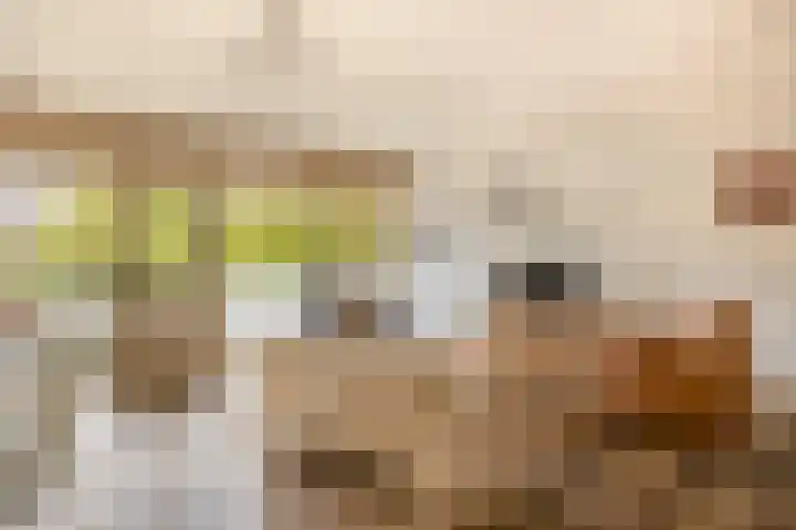Tongelresestraat 2 Eindhoven thumbnail 16