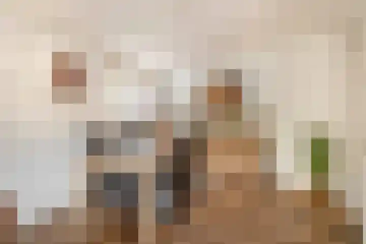Tongelresestraat 2 Eindhoven thumbnail 17