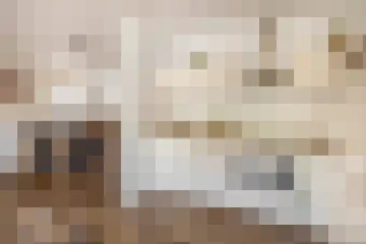 Tongelresestraat 2 Eindhoven thumbnail 21