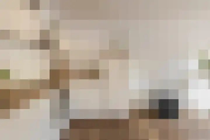 Tongelresestraat 2 Eindhoven thumbnail 22
