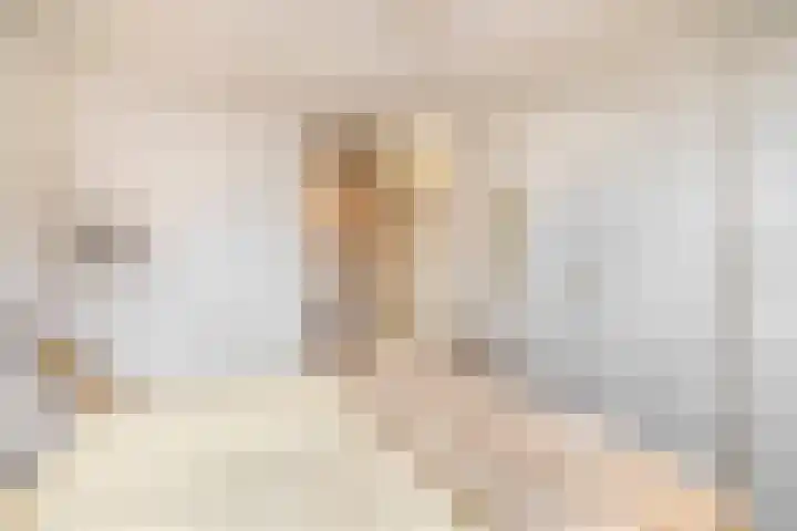 Tongelresestraat 2 Eindhoven thumbnail 25