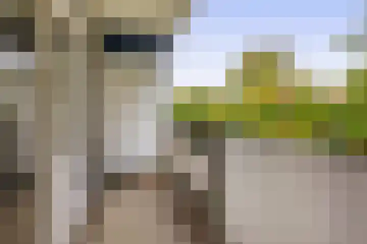 Tongelresestraat 2 Eindhoven thumbnail 31