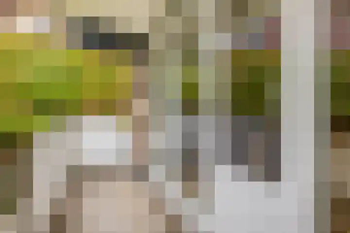 Tongelresestraat 2 Eindhoven thumbnail 32