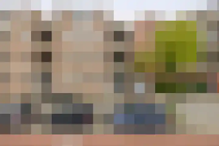 Tongelresestraat 2 Eindhoven thumbnail 6