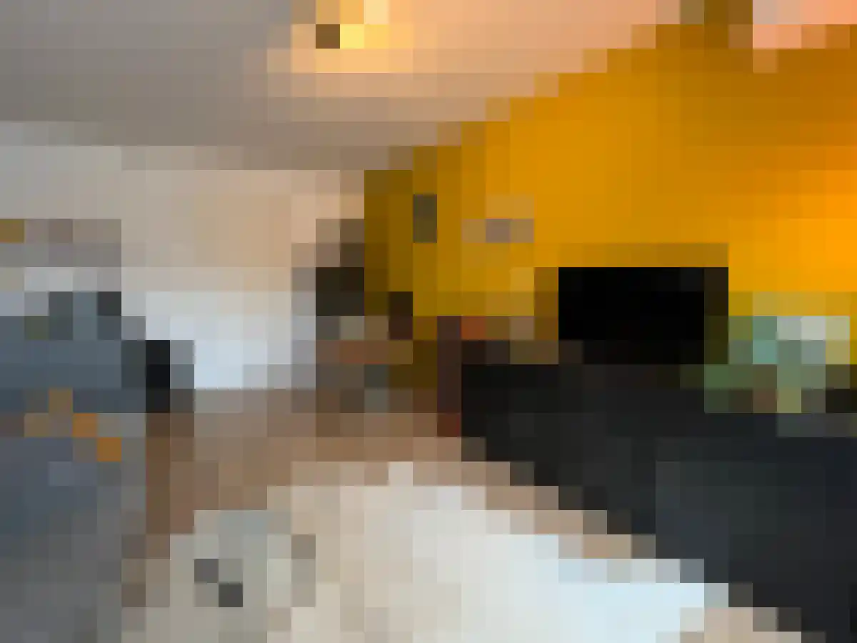 Tongelresestraat 252 Eindhoven thumbnail 4