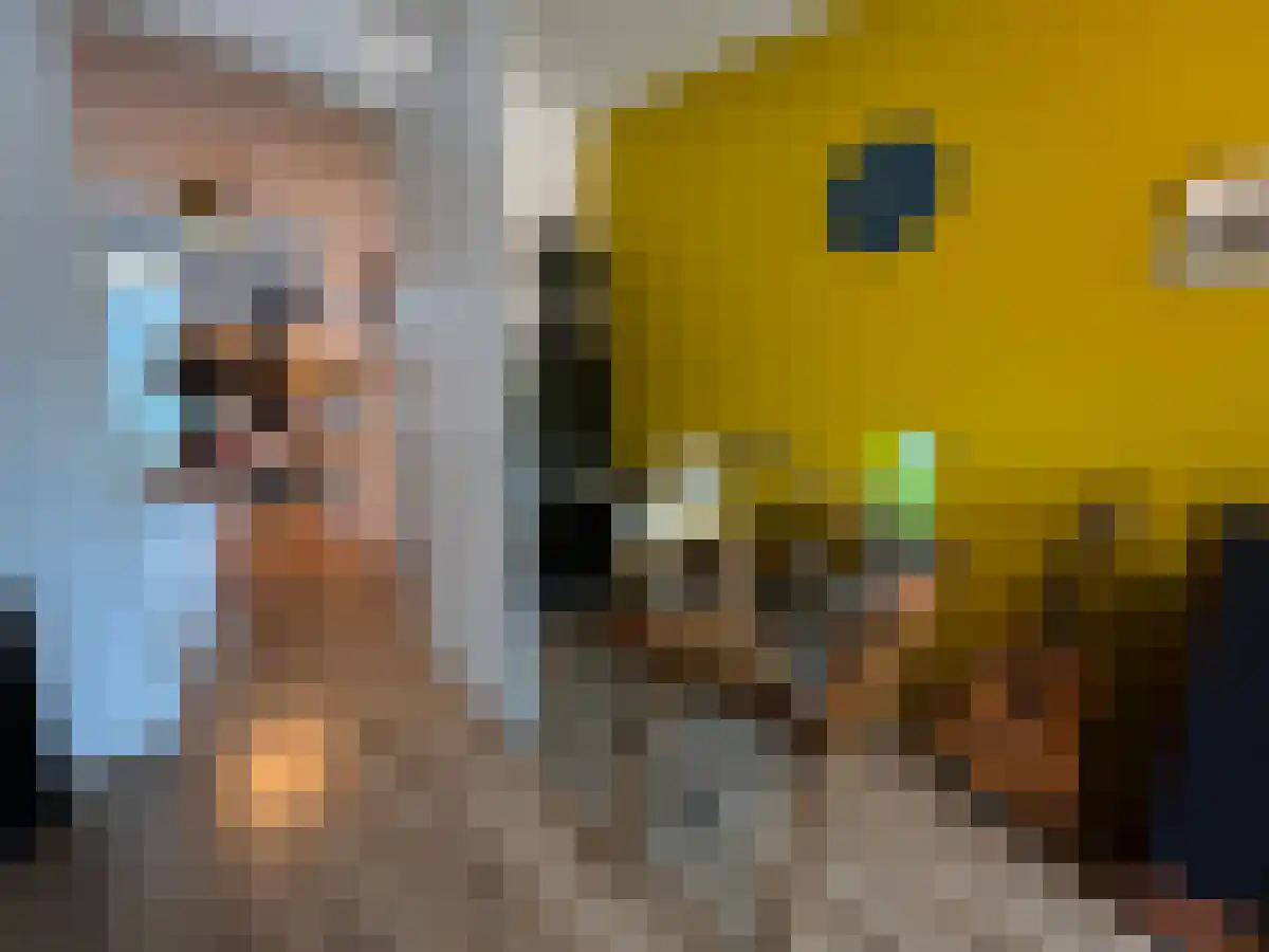 Tongelresestraat 252 Eindhoven thumbnail 5