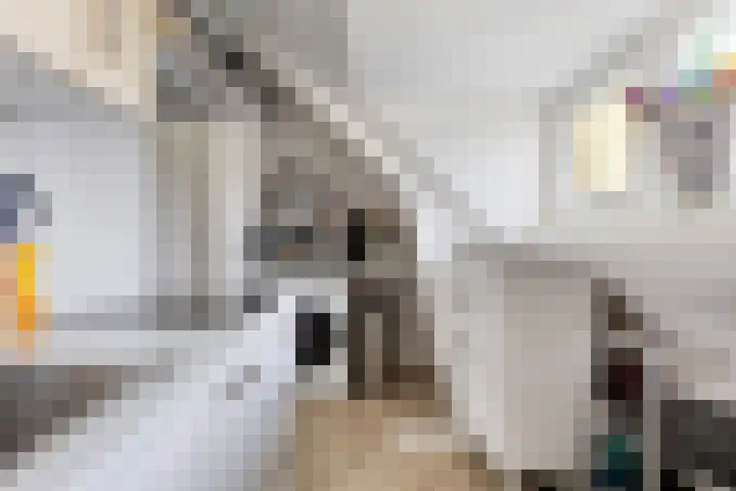 Tongelresestraat 263 B Eindhoven thumbnail 10