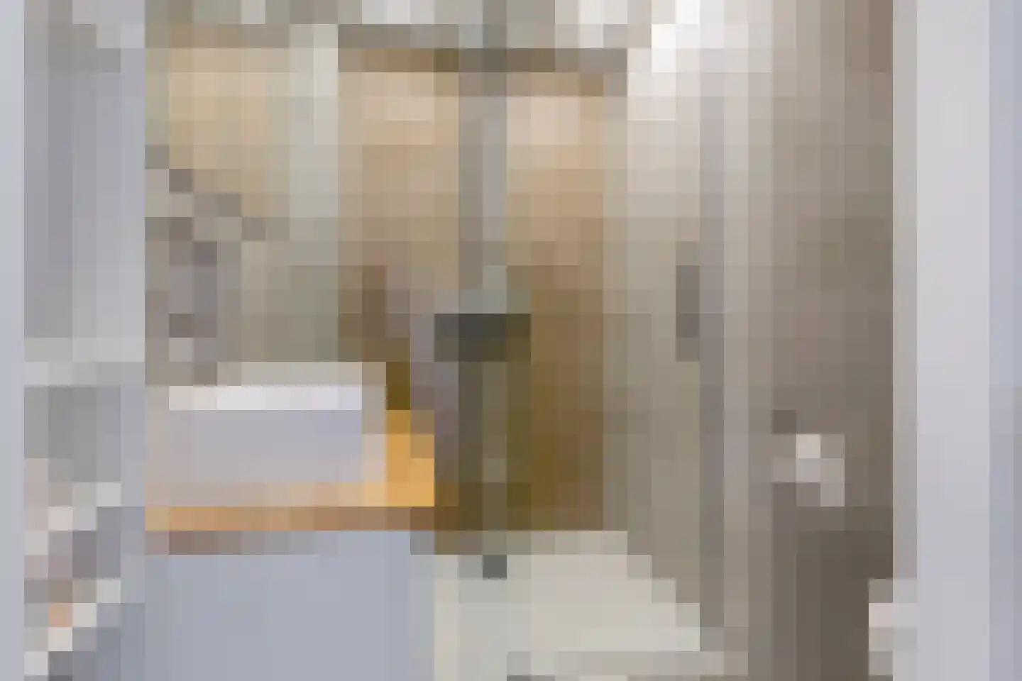 Tongelresestraat 263 B Eindhoven thumbnail 17