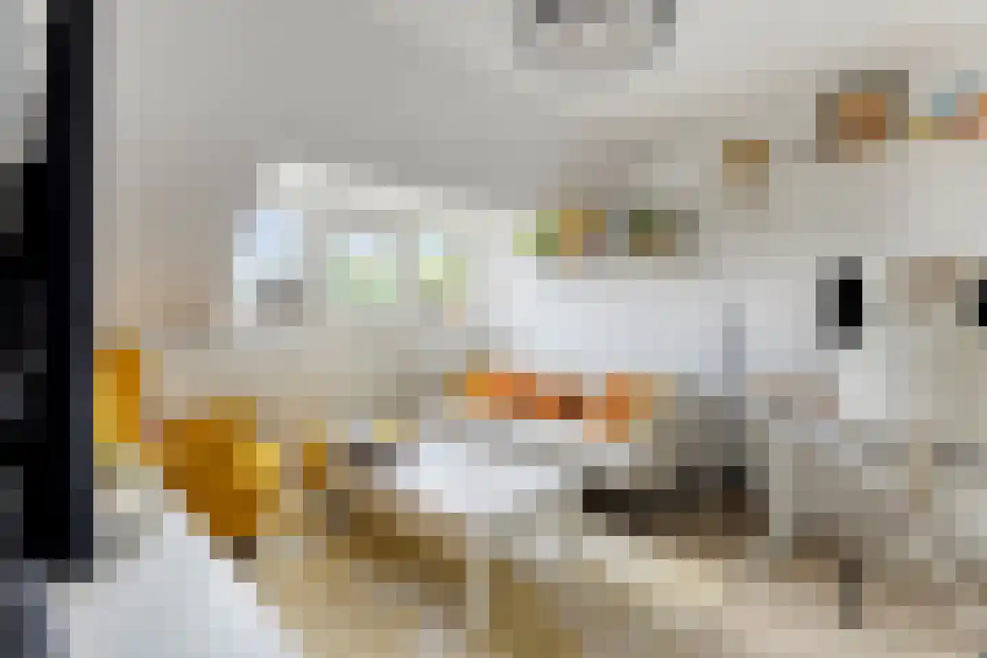 Tongelresestraat 263 B Eindhoven thumbnail 5