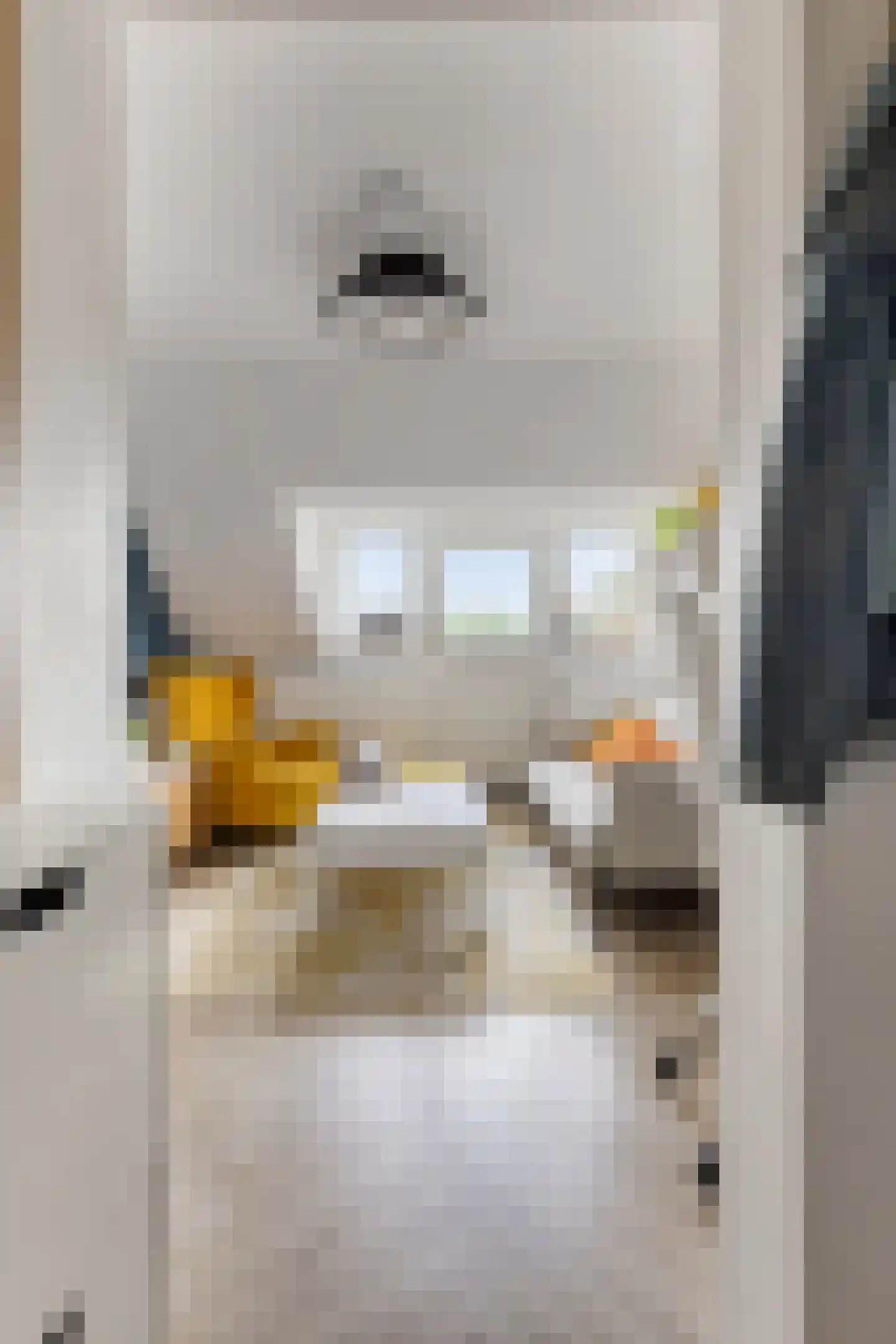 Tongelresestraat 263 B Eindhoven thumbnail 7