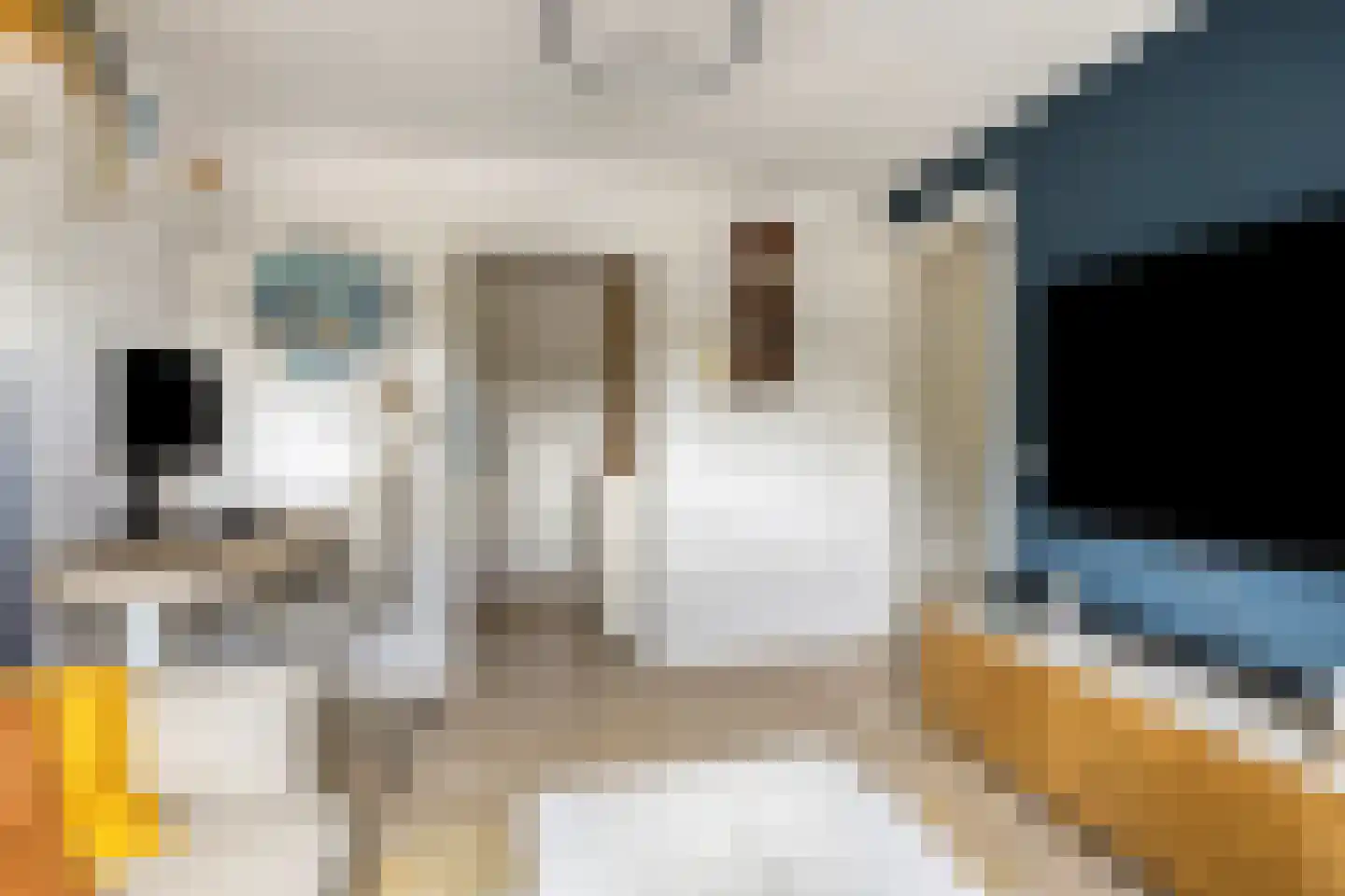 Tongelresestraat 263 B Eindhoven thumbnail 8