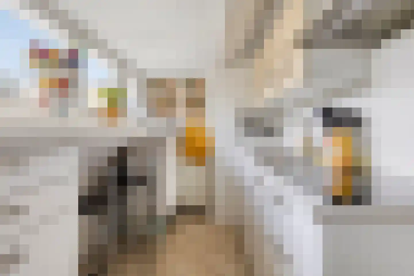 Tongelresestraat 263 B Eindhoven thumbnail 9