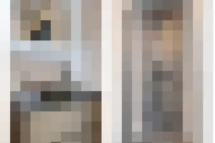 Tongelresestraat 265 Eindhoven thumbnail 18
