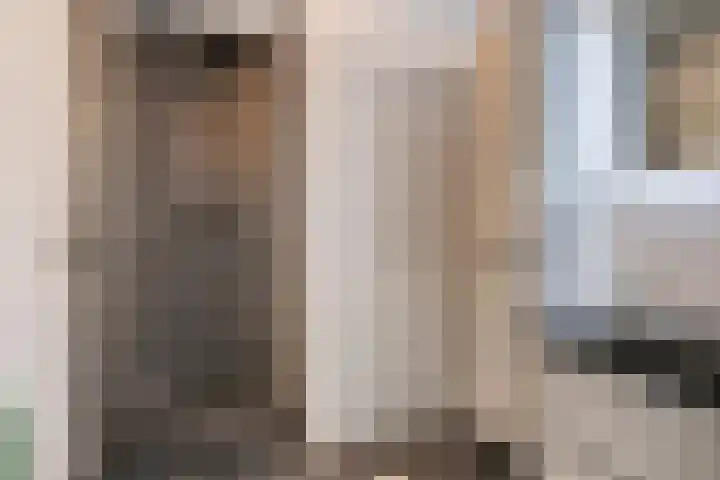 Tongelresestraat 265 Eindhoven thumbnail 19