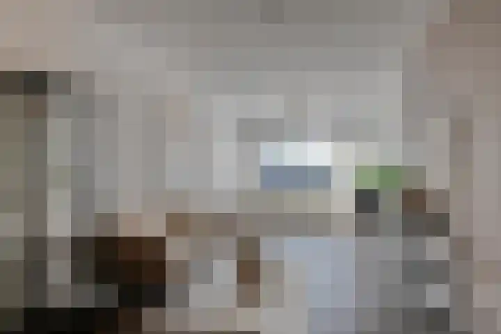 Tongelresestraat 265 Eindhoven thumbnail 8