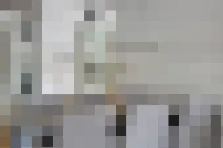 Tongelresestraat 267 Eindhoven thumbnail 11