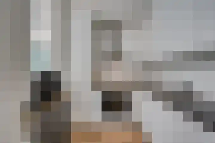 Tongelresestraat 267 Eindhoven thumbnail 13