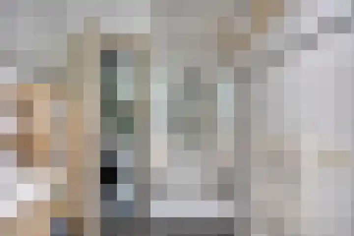 Tongelresestraat 267 Eindhoven thumbnail 19