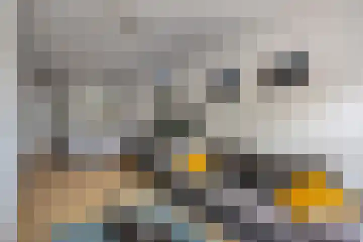 Tongelresestraat 267 Eindhoven thumbnail 6