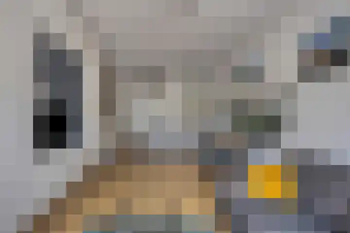 Tongelresestraat 267 Eindhoven thumbnail 7